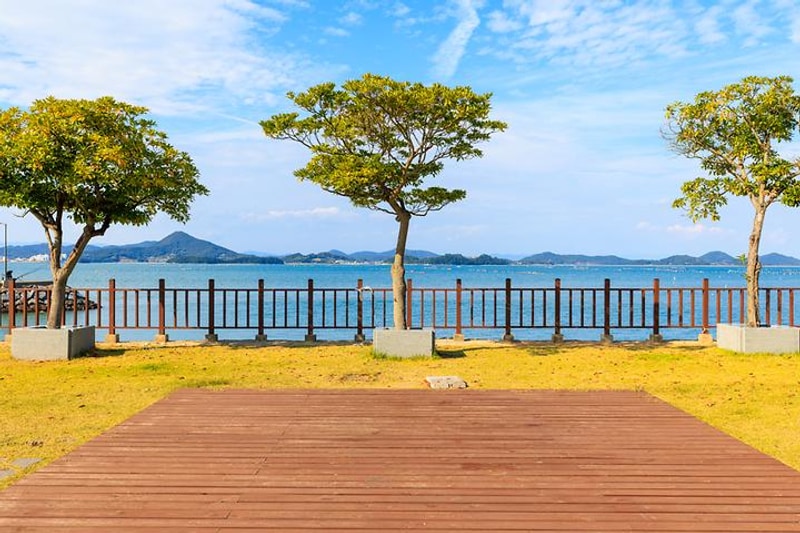 해그라미 대표 사진