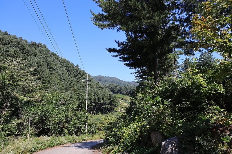 두밀숲캠핑장 시설 사진 1