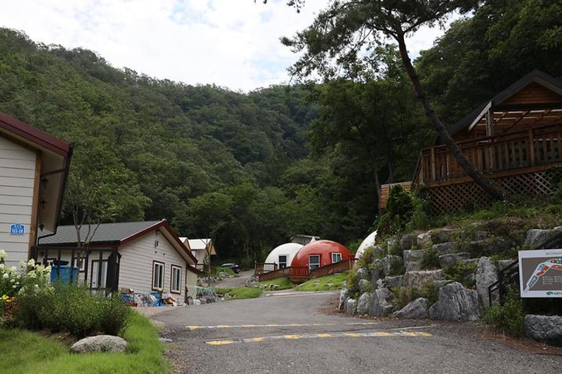 강촌버즈글램핑 대표 사진