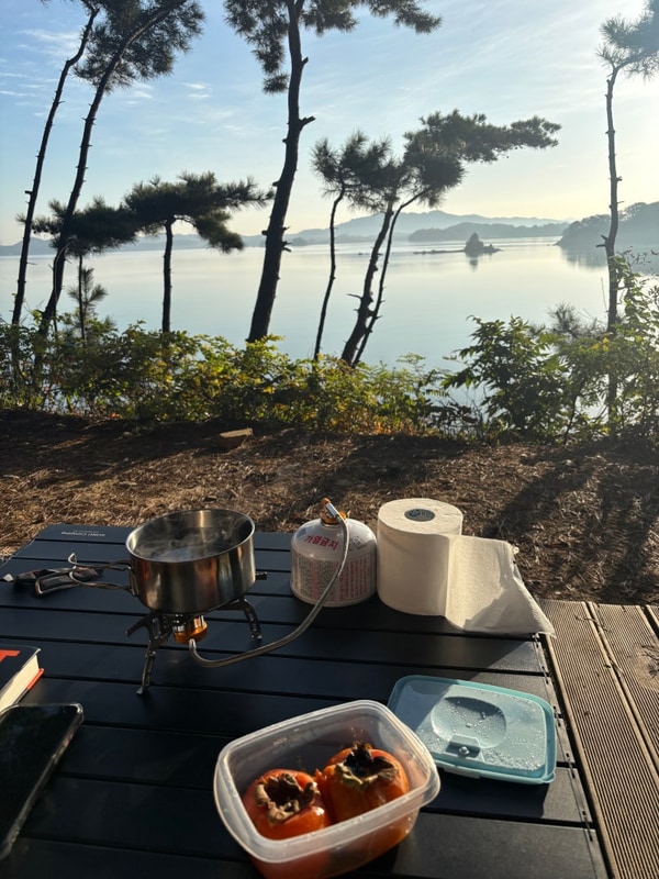 [충남태안시] 태안캠핑, 청산리오토캠핑장, 가을캠핑