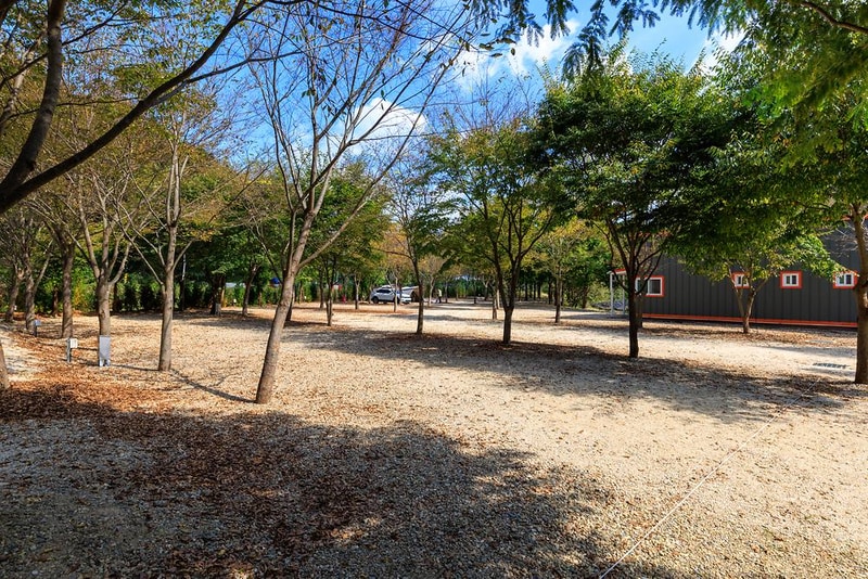 금산 자연 오토캠핑장 시설 사진 10