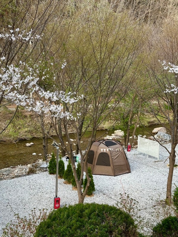 봉화별 캠핑장; A-1 (14th 솔캠)