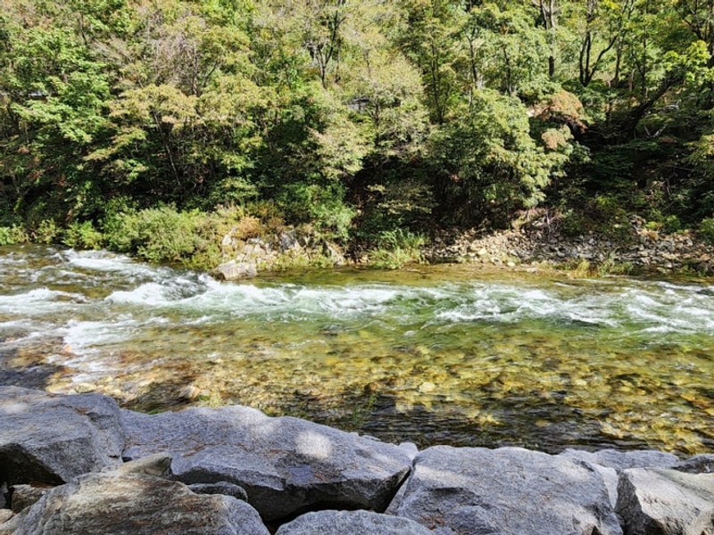 강원 홍천 캠핑 | 계곡 뷰 샘골솔밭야영장_E5 (사이트소개...