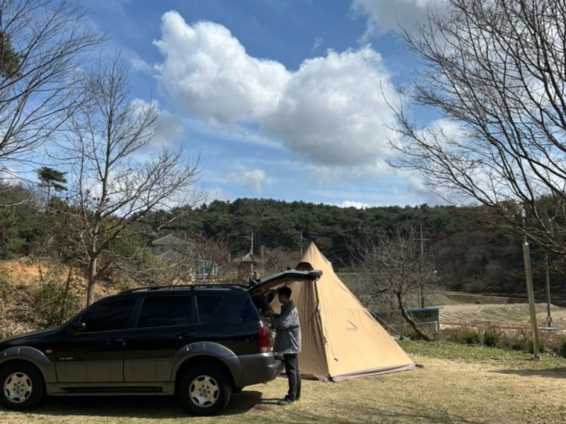 충남 당진 애견동반 캠핑장 푸르미르관광농원 잔디밭 사이트...