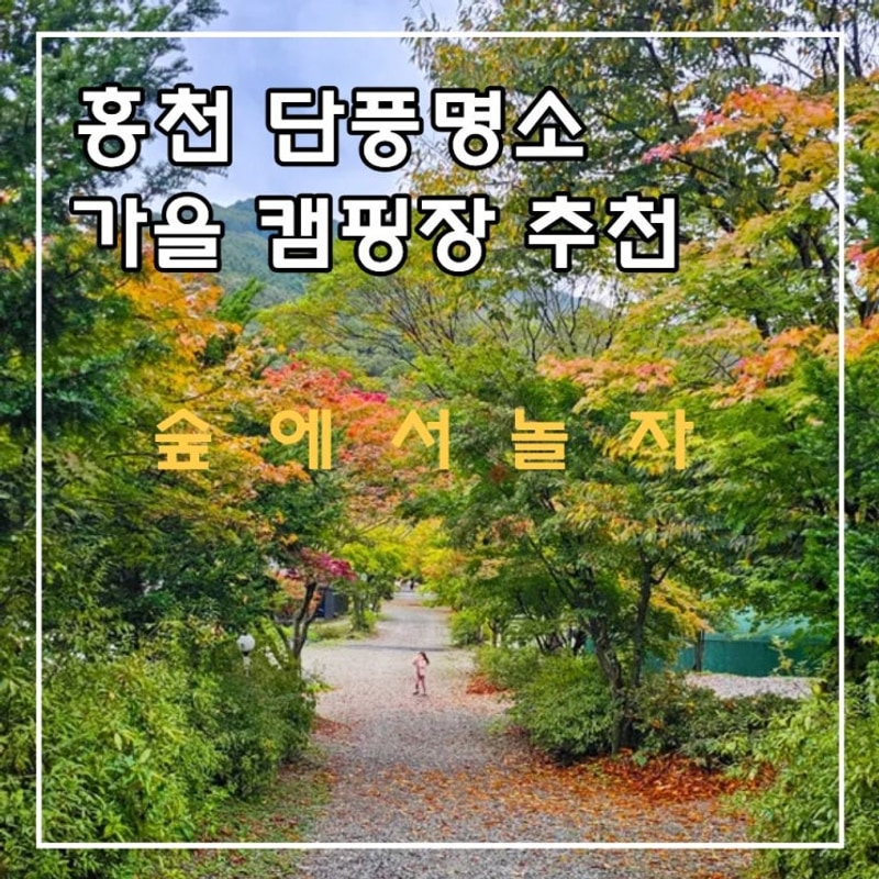 홍천 숲에서놀자 캠핑장 단풍 명소 가을캠핑장 추천