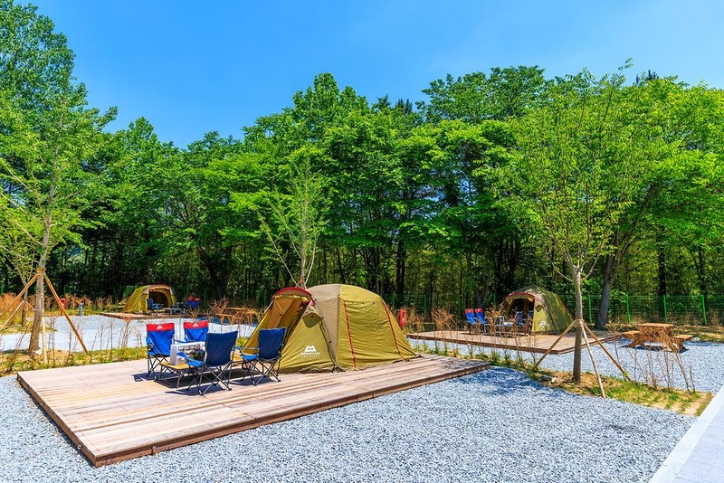 경상북도교육청김천오토캠핑장 시설 사진 13