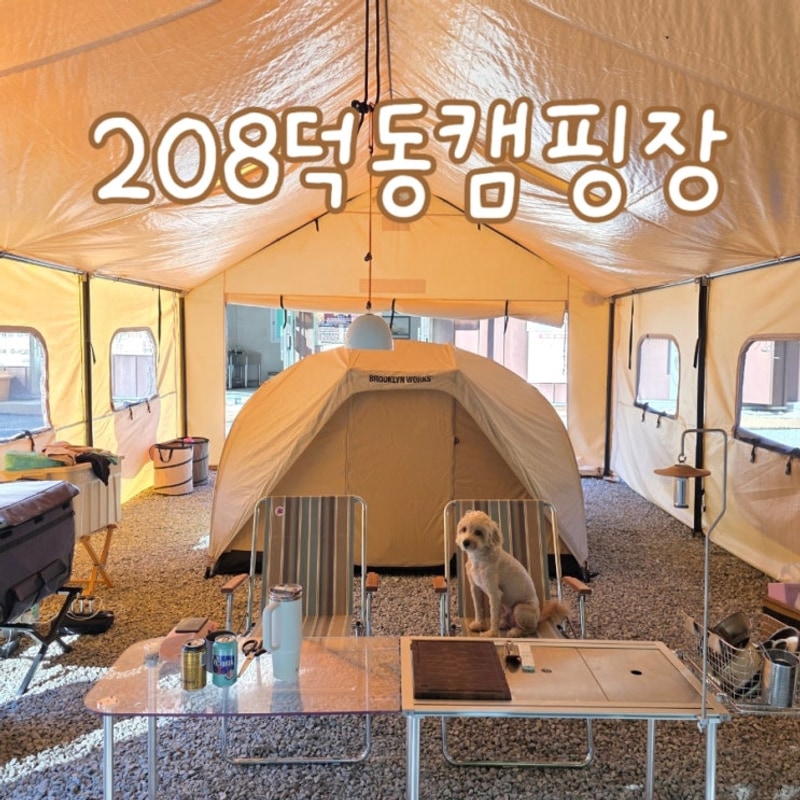 충북 제천 풀타프존 계곡있는 208덕동 캠핑장 여름캠핑 후기