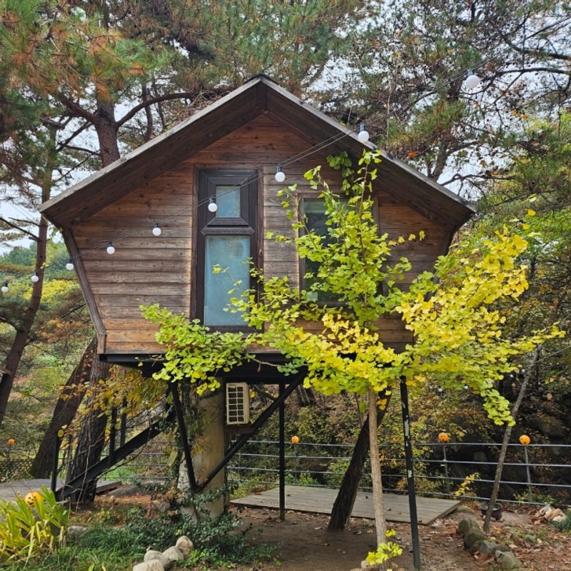 [홍천 트리하우스 계곡야영장 오렌지하우스] 나무집에서 보낸...