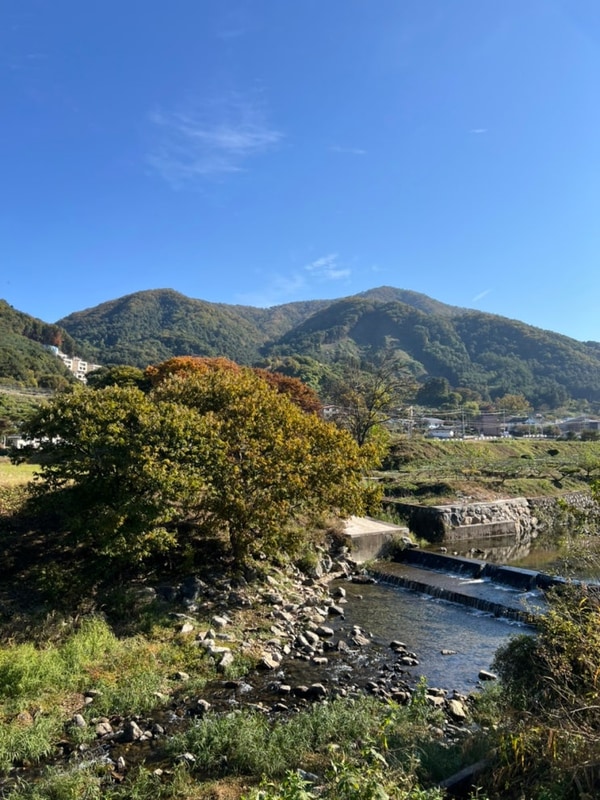 2410 / 양평 힐링 계곡 오토캠핑장 (D3)