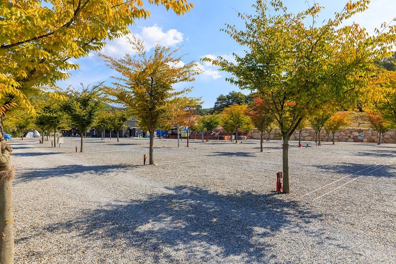 속리산365캠핑장 시설 사진 16