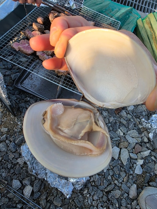 아산 곡교천 야영장 가을 나들이 (25.10.25)