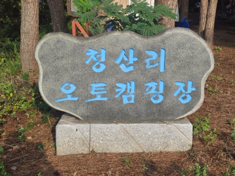 충남  태안 반려동물동반 가능... 감성 캠핑장 청산리오토캠핑장