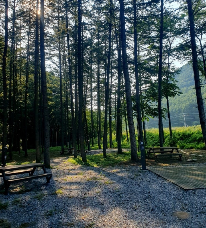 지자체 평창 국민여가캠핑장 시설 둘러보기
