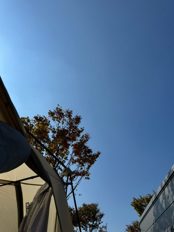 [캠핑] 서산, 해미모꼬지 캠핑장 (+할로윈캠)