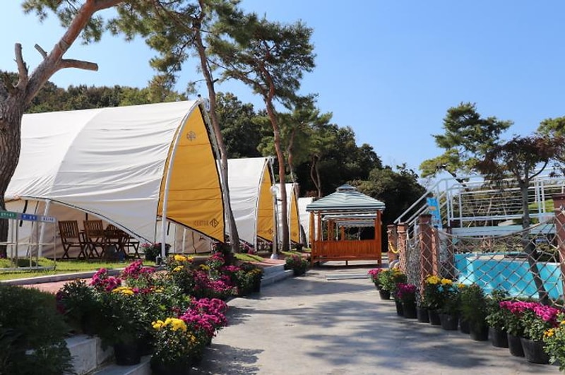 다온숲 대표 사진