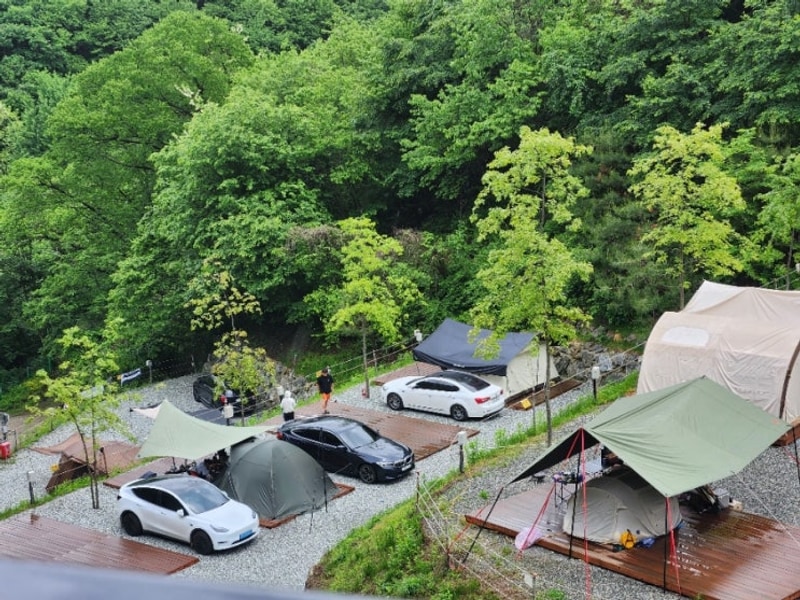 홍천 캠핑장) 비발디 캠핑파크 미루나무 데크7번(모비가든...