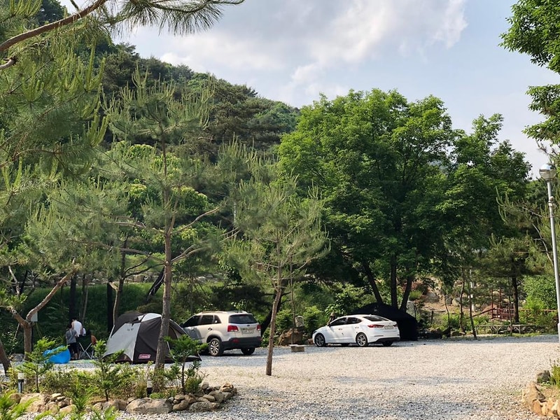 덕동리301캠핑장 시설 사진 4