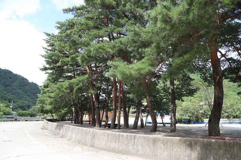 내평계곡캠핑장 시설 사진 16