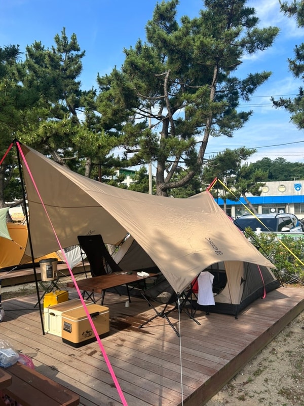 강원도 고성 오호캠핑장 사이트 b6 / 송지호해수욕장