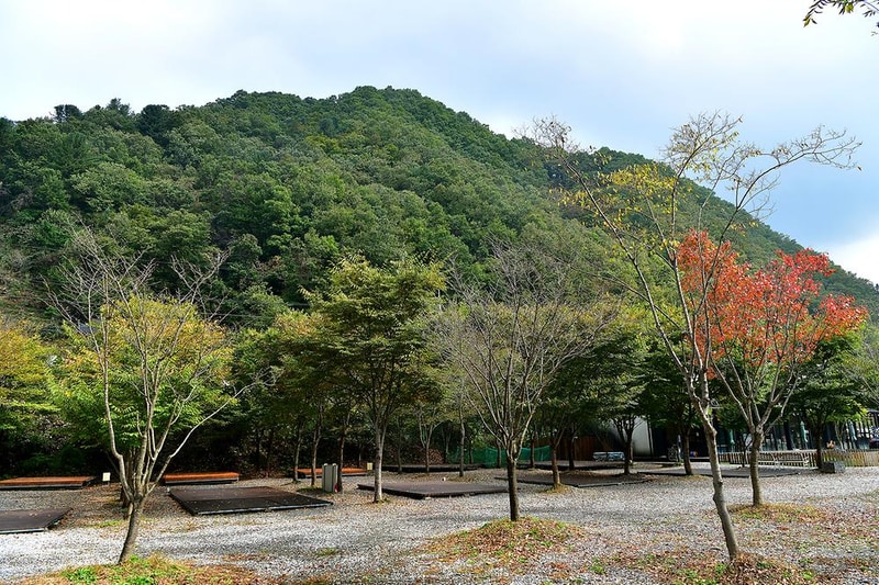 캠핑소리251 시설 사진 15