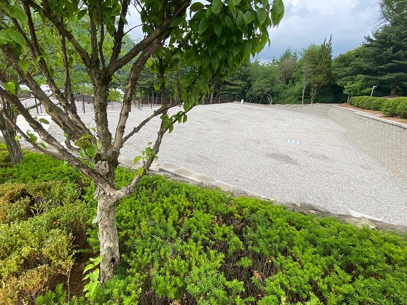 포레스트 소울 시설 사진 1