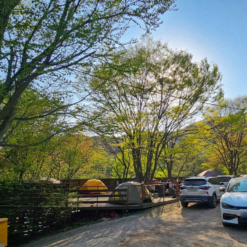 단체캠핑장 추천 남양주 별빛캠핑장 20 21 22 사이트