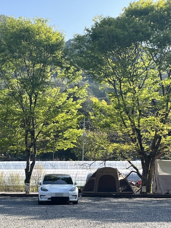 [캠핑일기 32] 한적하고 쾌적한 영월 산산캠핑(2)