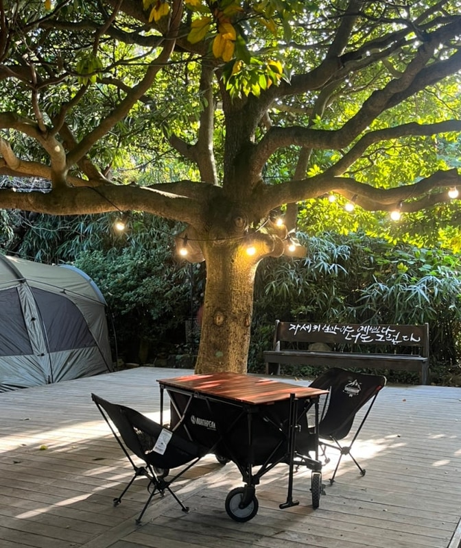 [남해]버드하우스 가을캠핑_후박4 사이트