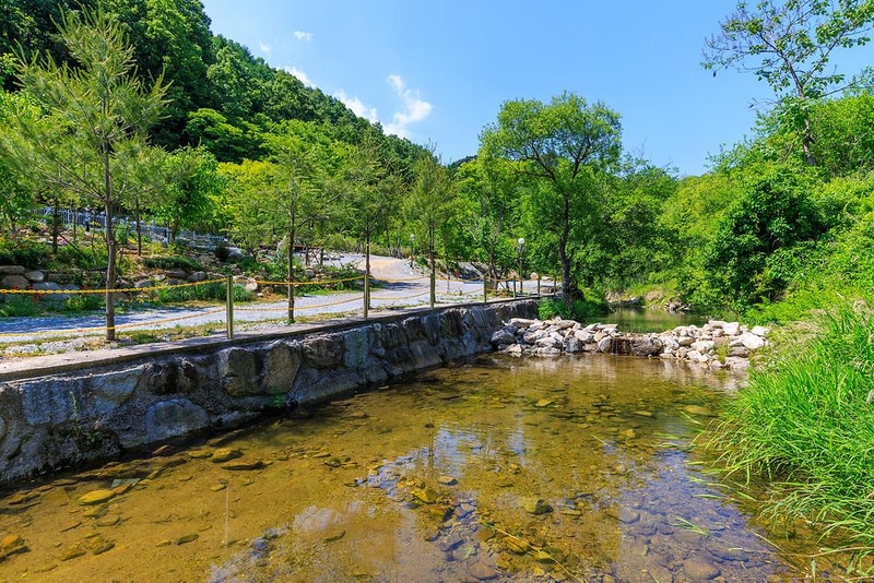 은하수 관광농원 시설 사진 15