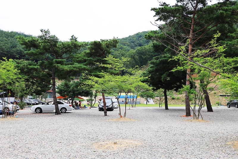 경주 더숲 관광농원 시설 사진 3