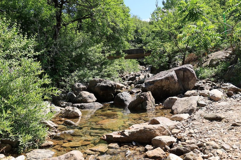 일칠일관광농원 시설 사진 14