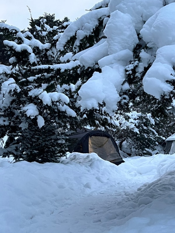 도모횡성 : 조용한 산속 캠핑장 추천 / 자갈기본2 사이트 / 서울...