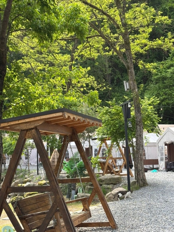 충북 제천 계곡이 있는 인더밸리 글램핑(불멍, 고양이도 있음)