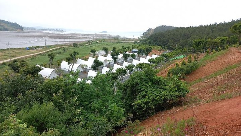 오즈캠핑 대표 사진