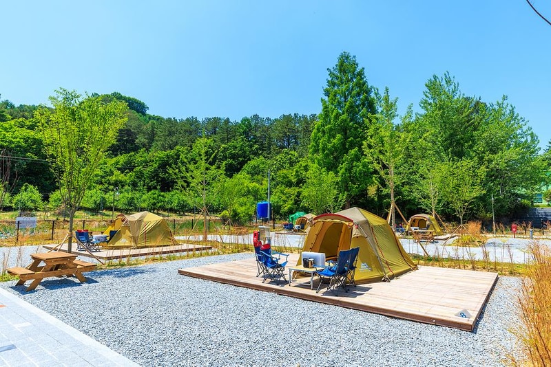 경상북도교육청김천오토캠핑장 시설 사진 11