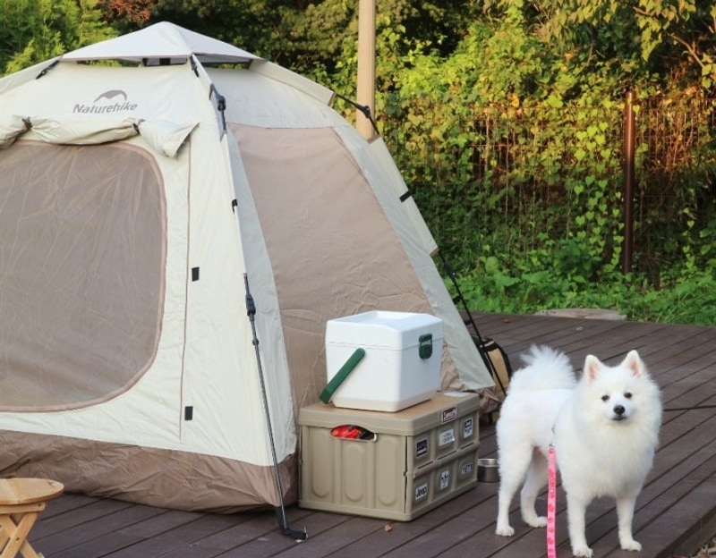 김제 모악산캠핑파크 애견 동반 가능 캠핑장 예약 방법