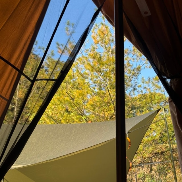 그린바움캠핑장 대표 사진