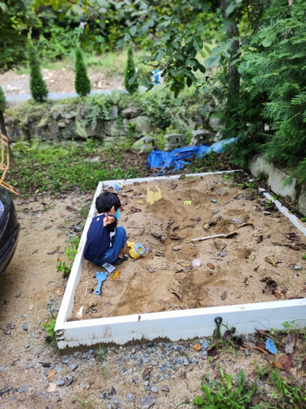 250926 경북 고령 숲에안기다 애견동반 캠핑장 V1