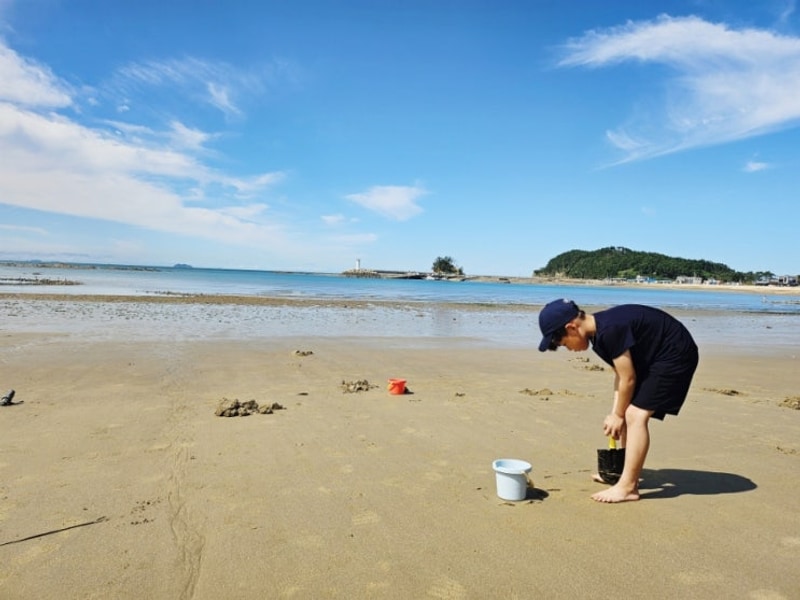 가을 캠핑, 바다 캠핑, 태안 어은돌 송림캠핑장