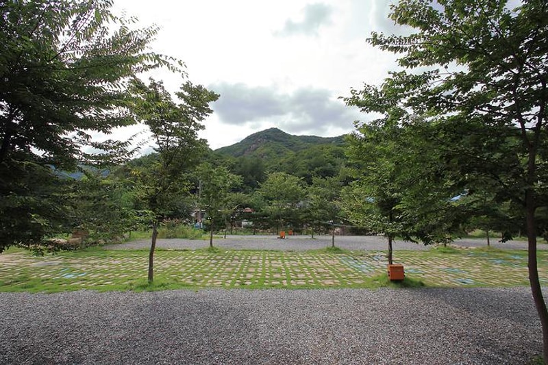 맑은개울 캠핑장 대표 사진