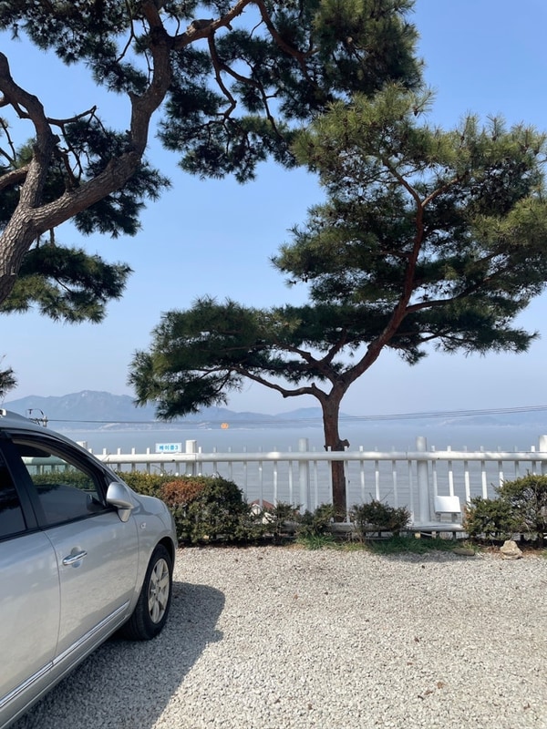 반려견동반 솔캠 / 강화 씨사이드힐 캠핑장 메이플3 / 아이두젠...