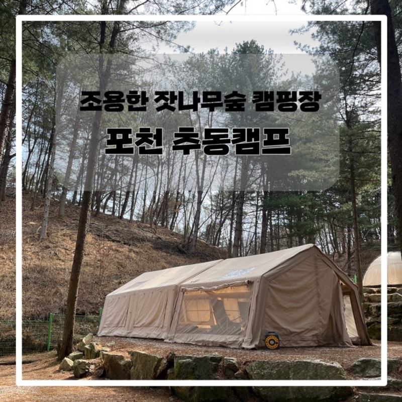 포천 조용한 잣나무 숲 캠핑장 [추동캠프️]