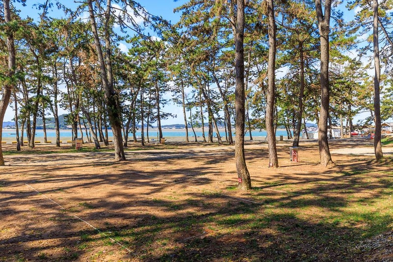 홀통183 캠핑장 시설 사진 7