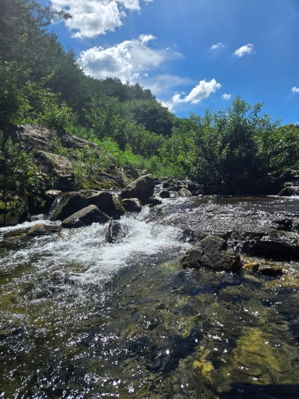 여름엔 계곡이 답이다(캠프우든브릿지2025.7.25.~7.27.)