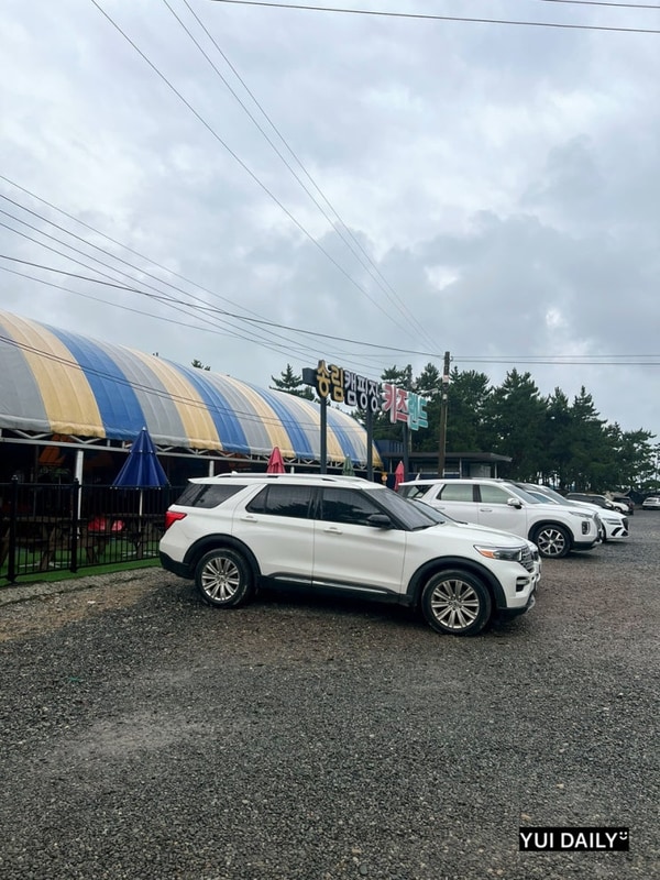 [태안]어은돌송림캠핑장