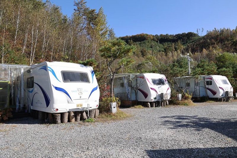 청계호수 자작나무숲 캠핑장 시설 사진 1