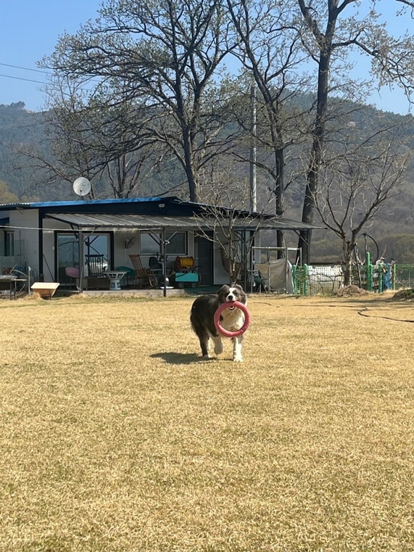 청주 근교 소규모 프라이빗 캠핑장 : 충북 영동 금도끼 캠핑장