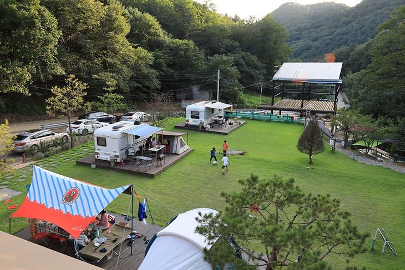 초리 포레스트 대표 사진