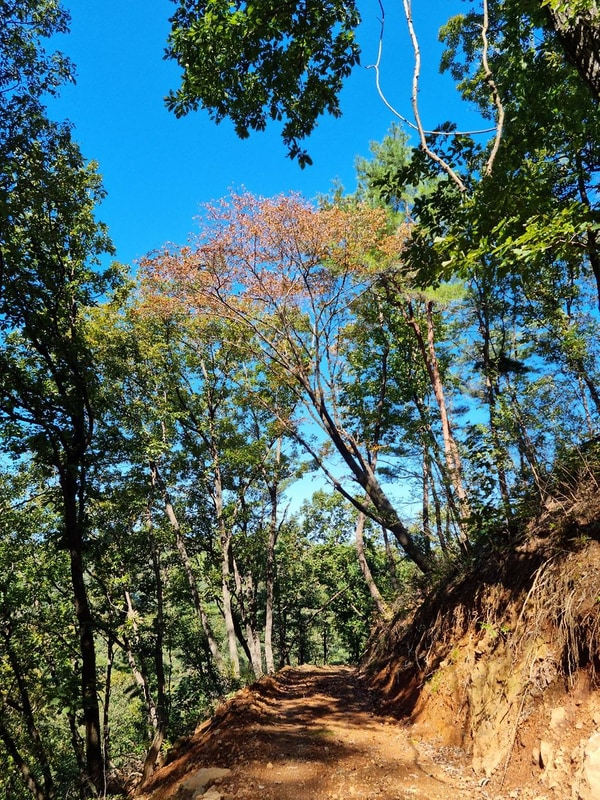 더 빌리지 시설 사진 17