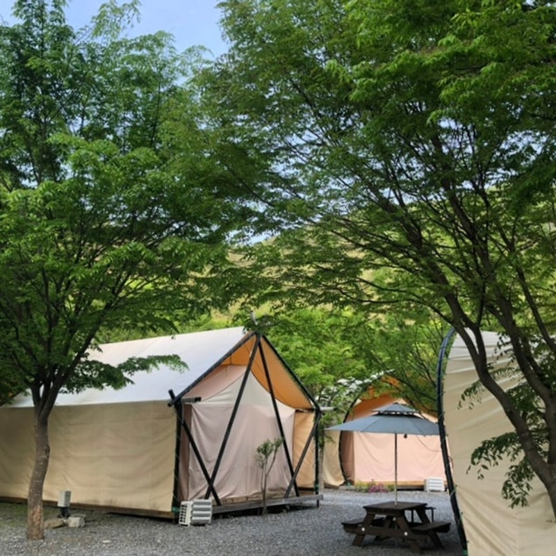 [영월 글램핑] 또 가고 싶은 "별이빛나는밤에 글램핑" 10번...